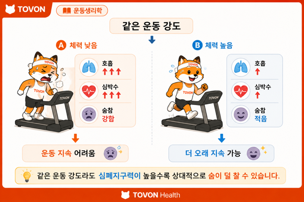 운동할 때 숨이 차는 이유는? 산소와 호흡의 관계 쉽게 이해하기 같은 운동 강도에서 심폐지구력에 따라 숨참 정도가 달라지는 비교