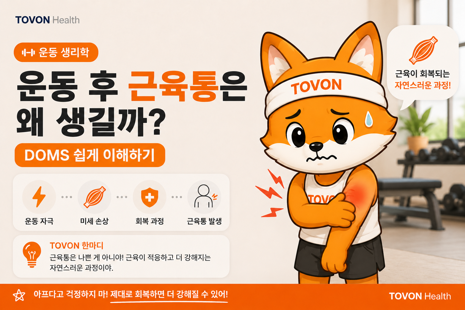 운동을 열심히 한 다음 날… 근육통은 왜 생길까? DOMS 쉽게 이해하기 doms 표지