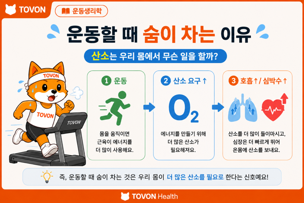 운동할 때 숨이 차는 이유는? 산소와 호흡의 관계 쉽게 이해하기 운동할 때 숨이 차는 이유와 산소의 역할을 보여주는 토번이