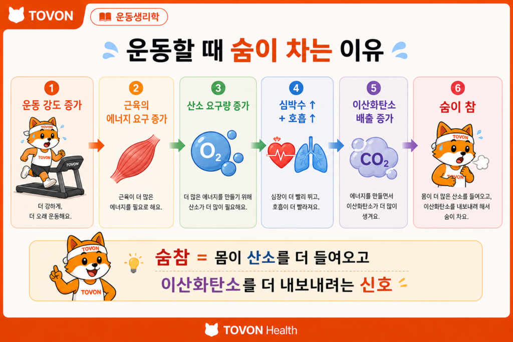 운동할 때 숨이 차는 이유는? 산소와 호흡의 관계 쉽게 이해하기 운동 강도 증가에 따라 산소 요구량과 호흡이 증가하는 과정