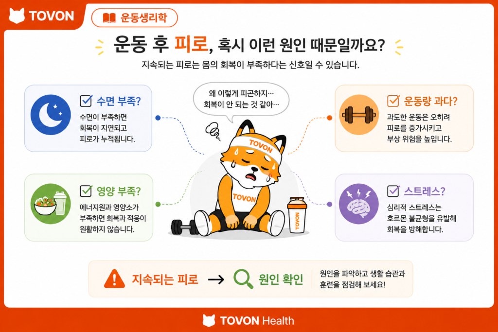 운동 후 회복은 왜 중요할까? 근육 회복의 과정 운동 후 피로와 회복 상태를 확인하는 과정을 보여주는 이미지
