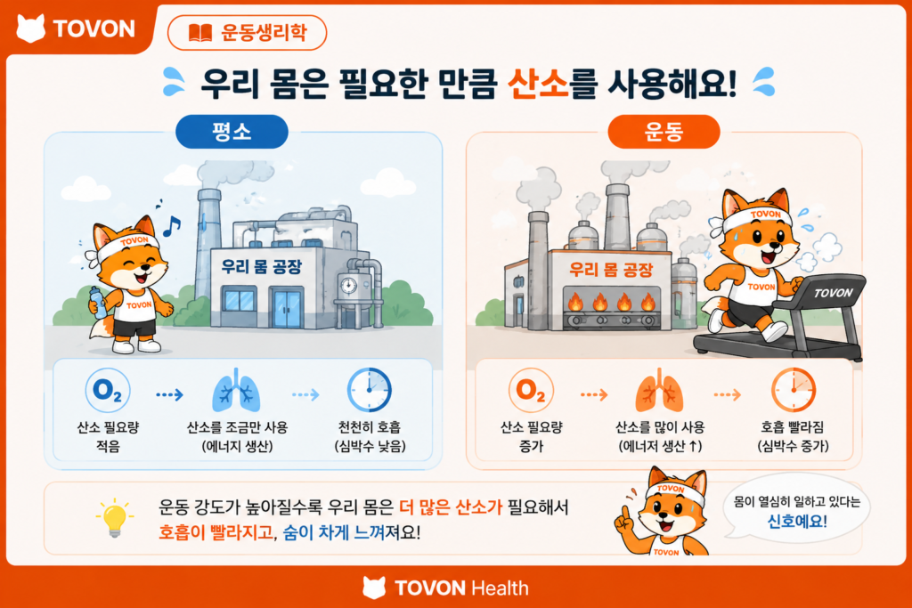 운동할 때 숨이 차는 이유는? 산소와 호흡의 관계 쉽게 이해하기 운동 강도가 증가하면서 산소 요구량과 호흡이 증가하는 과정