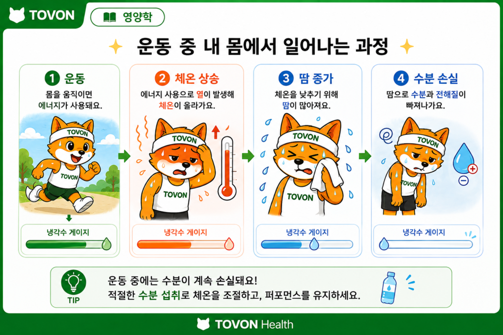 운동할 때 물을 얼마나 마셔야 할까? 수분 섭취의 중요성 운동 중 체온 상승과 땀으로 인해 수분이 손실되는 과정을 보여주는 이미지