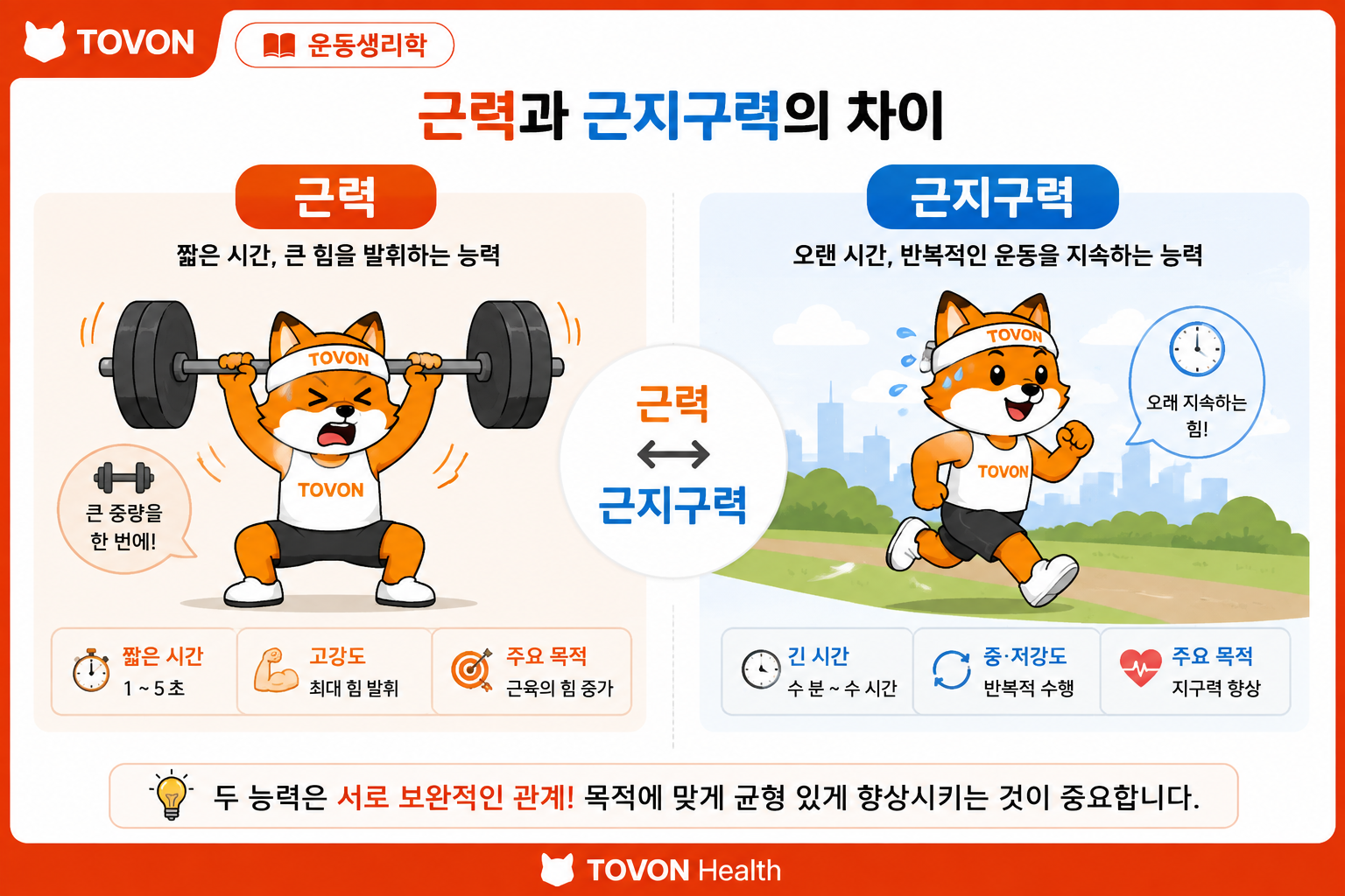 근력과 근지구력의 차이를 비교한 운동 이미지