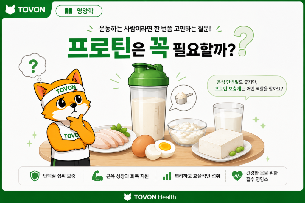 단백질 보충제는 꼭 필요할까? 프로틴의 역할과 섭취 방법 단백질이 근육을 만들고 유지하는 데 필요한 재료임을 보여주는 이미지