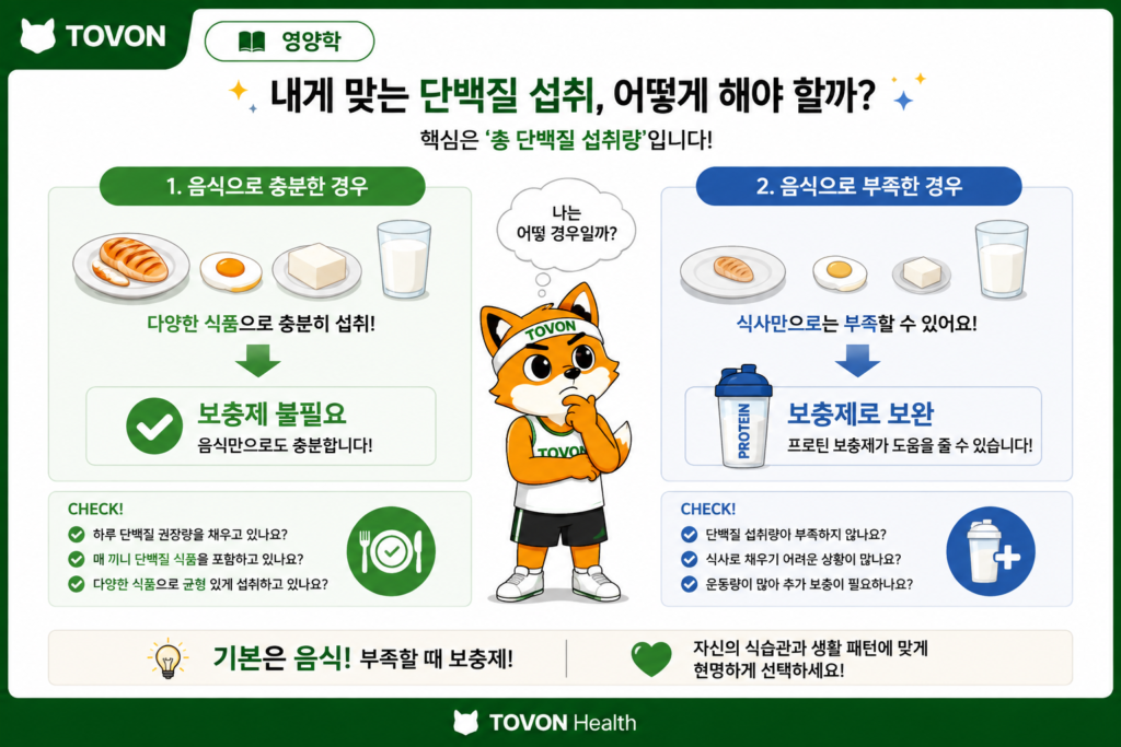 단백질 보충제는 꼭 필요할까? 프로틴의 역할과 섭취 방법 식사로 충분한 단백질을 섭취하는 경우와 프로틴 보충제가 필요한 경우를 비교한 이미지