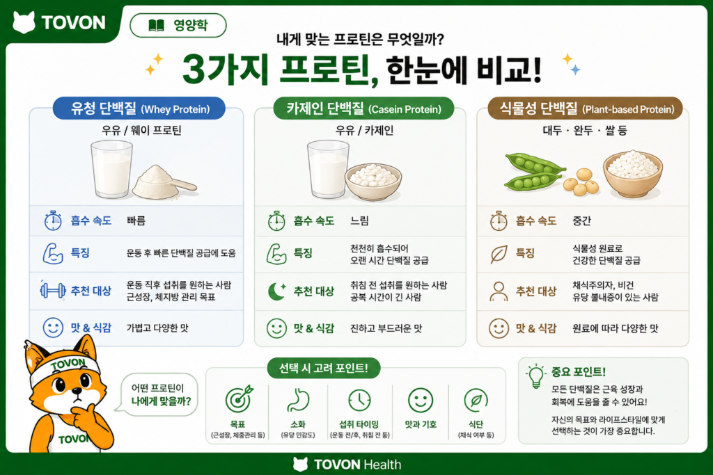 단백질 보충제는 꼭 필요할까? 프로틴의 역할과 섭취 방법 유청 단백질 카제인 단백질 식물성 단백질의 종류와 특징을 비교한 이미지