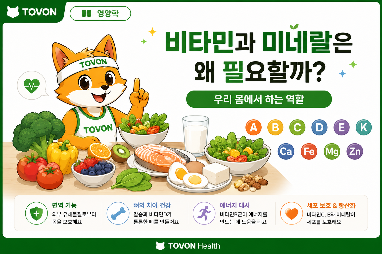 비타민과 미네랄의 역할을 설명하는 TOVON Health 표지 이미지
