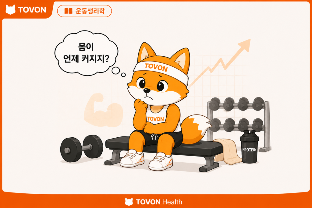근육은 어떻게 성장할까? 근비대의 기본 원리 고민하고 있는 토번이