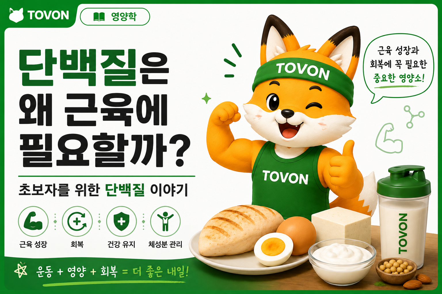 단백질은 왜 근육에 필요할까? 초보자를 위한 단백질 이야기 단백질 표지