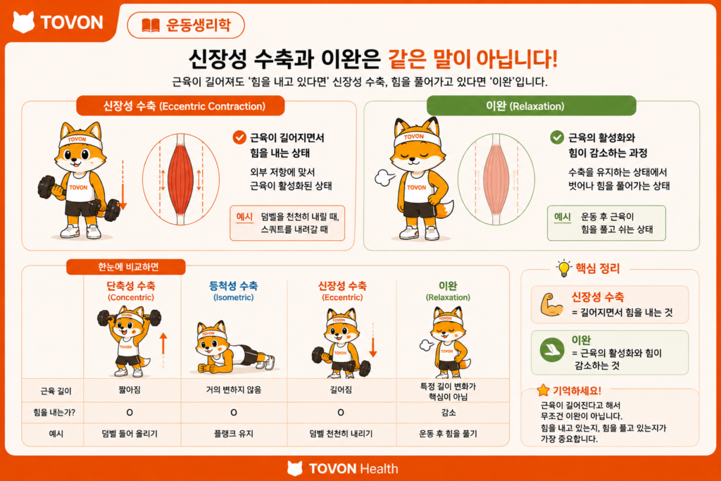 신장성 수축과 이완의 차이점