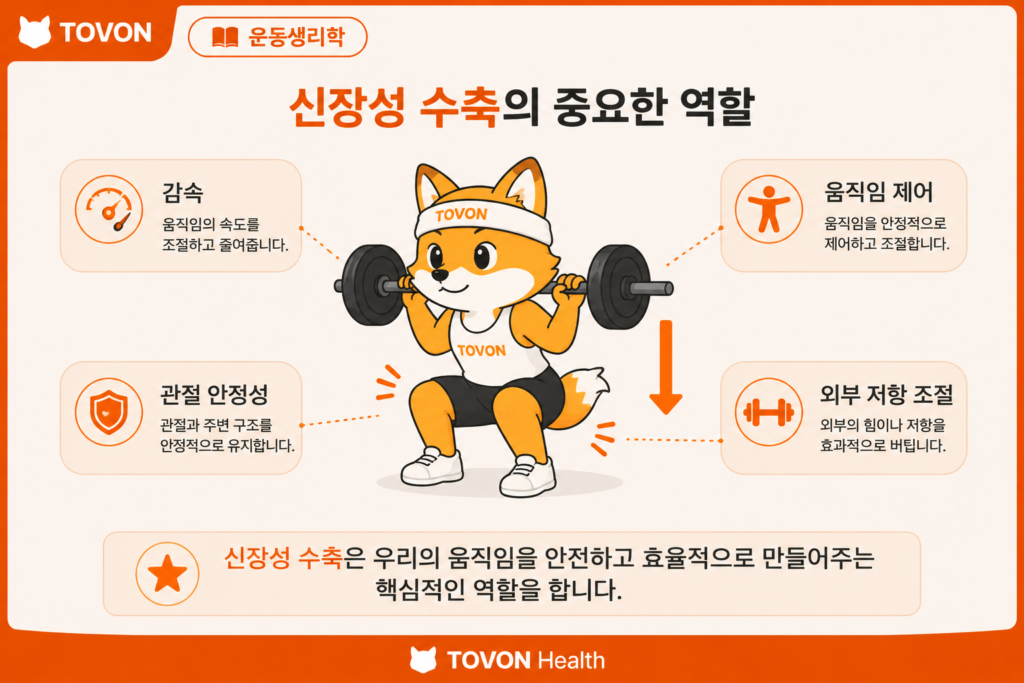 신장성 수축이 근력과 근육 발달에 활용되는 운동 과정