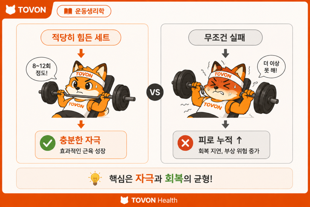 근육은 어떻게 성장할까? 근비대의 기본 원리 근육 실패 지점까지 운동하는 것과 근비대의 관계