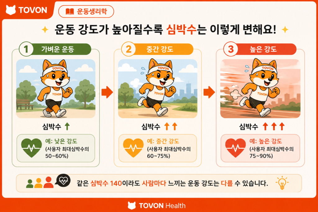 운동하면 심박수가 올라가는 이유는 무엇일까? 운동 강도가 높아질수록 심박수가 증가하는 과정과 심박수 140의 의미를 설명한 인포그래픽