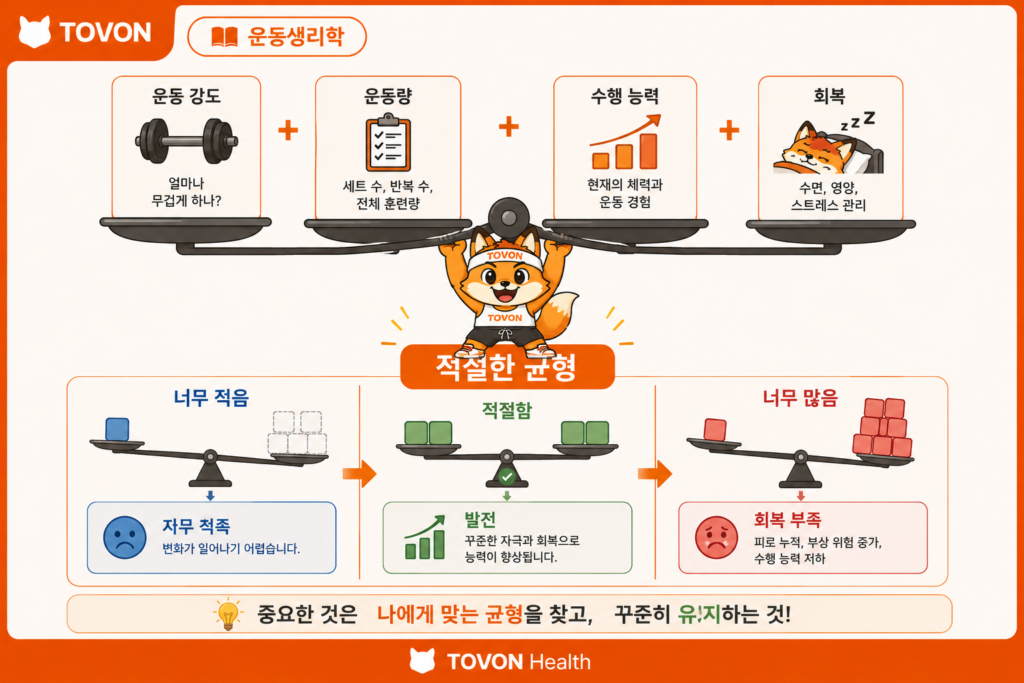 근육은 어떻게 성장할까? 근비대의 기본 원리 적절한 운동량과 회복의 균형을 통한 근육 성장