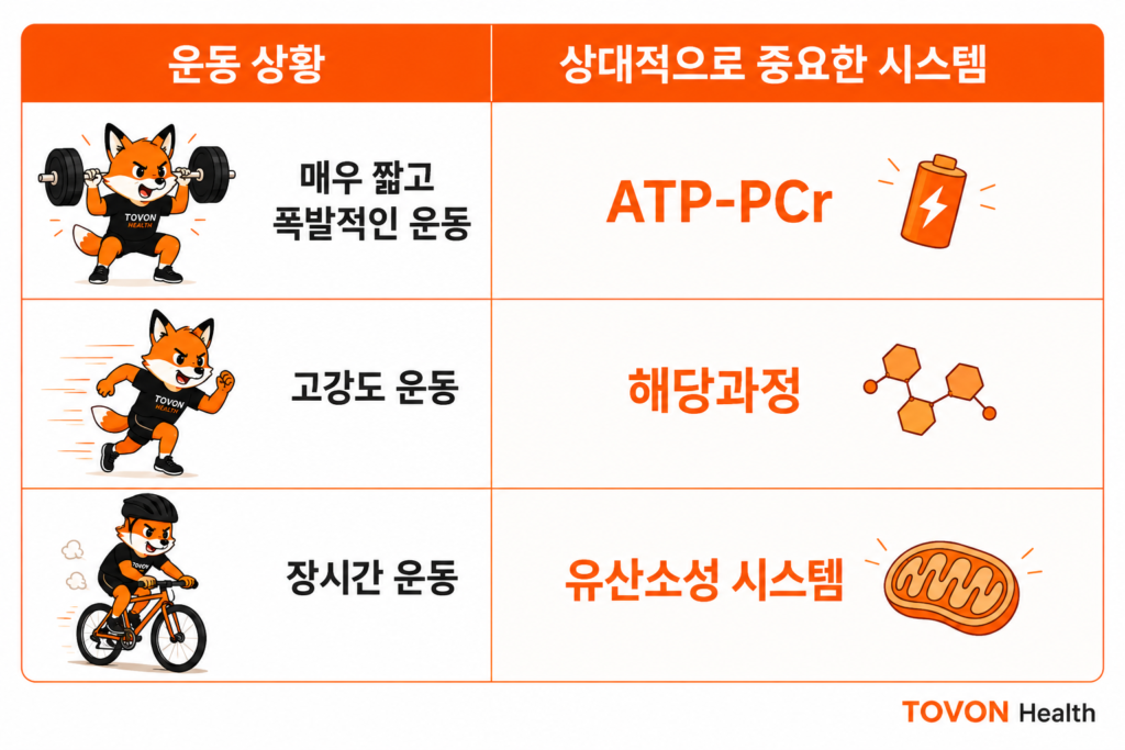 ATP란 무엇일까? 운동 에너지 시스템 3가지 쉽게 이해하기 운동 강도와 지속시간에 따라 달라지는 ATP 에너지 시스템의 상대적 기여도