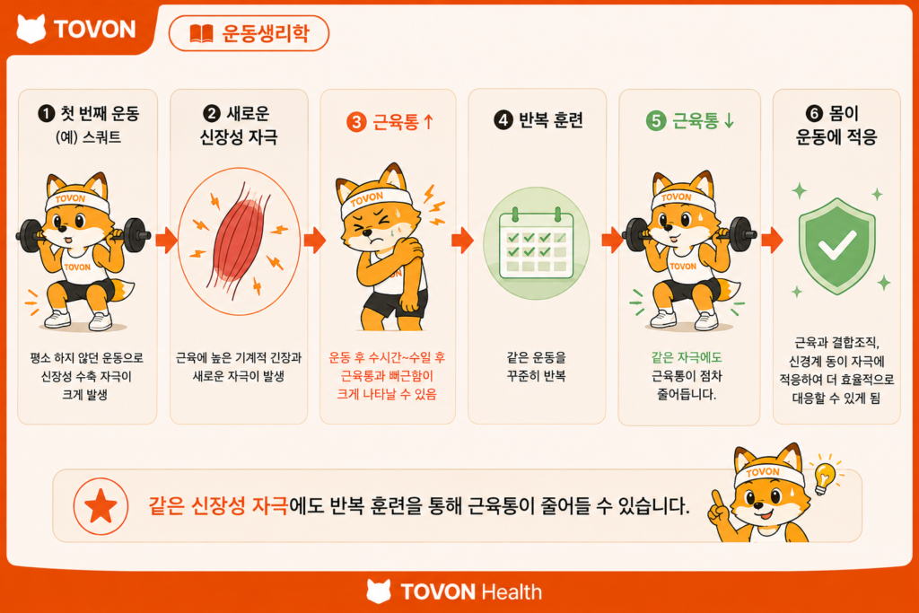 같은 운동을 반복하면서 근육통이 점차 감소하는 반복 운동 효과