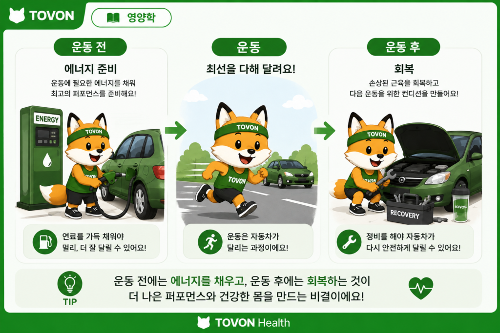 운동 전 식사와 운동 후 식사, 무엇을 먹어야 할까? 운동 전 식사는 에너지를 채우고 운동 후 식사는 회복을 돕는 과정을 자동차에 비유한 이미지