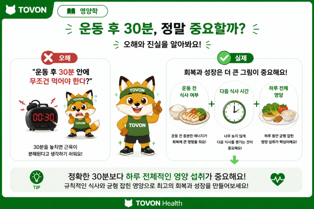 운동 전 식사와 운동 후 식사, 무엇을 먹어야 할까? 운동 후 단백질과 식사를 반드시 30분 안에 먹어야 한다는 오해를 설명하는 이미지