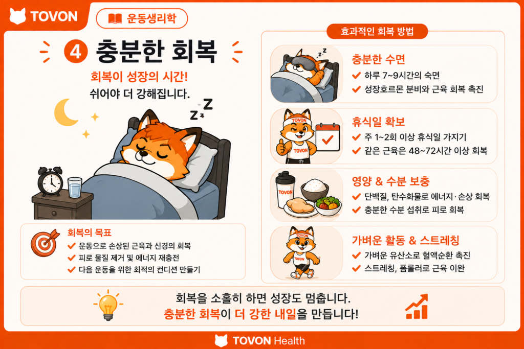 근육은 어떻게 성장할까? 근비대의 기본 원리 근육 성장에 필요한 회복과 수면