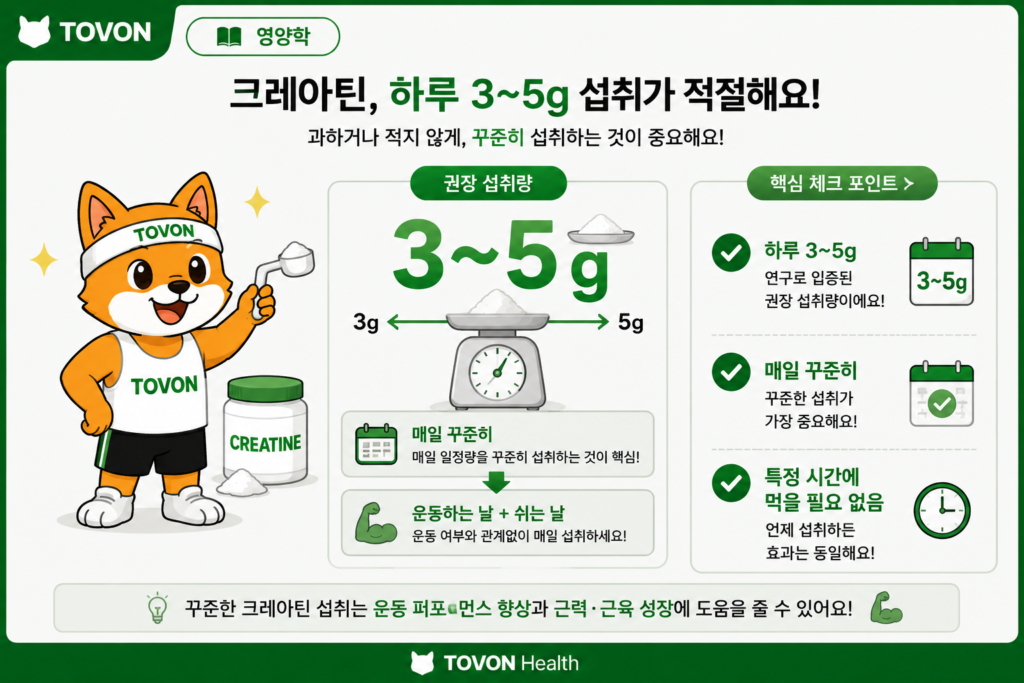크레아틴이란? 운동하는 사람이 알아야 할 기본 정보 크레아틴의 일반적인 하루 섭취량인 3~5g과 매일 꾸준히 섭취하는 방법을 설명한 인포그래픽