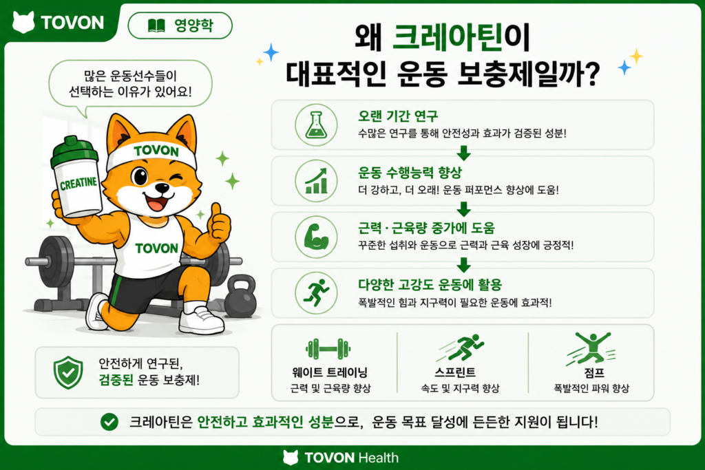 크레아틴이란? 운동하는 사람이 알아야 할 기본 정보 크레아틴이 운동 수행능력과 고강도 운동에 도움을 주는 이유를 설명한 인포그래픽