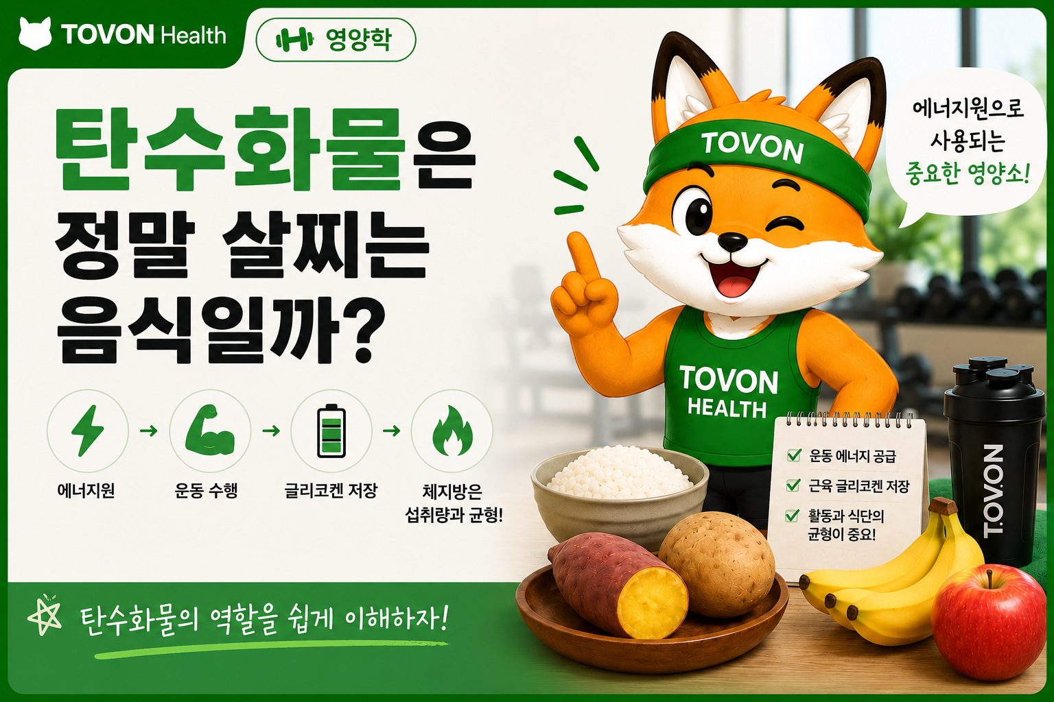 탄수화물은 정말 살찌는 음식일까? 탄수화물의 역할 쉽게 이해하기 탄수화물, 정말 살찌는 음식일까