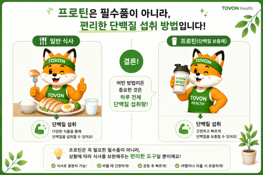 단백질은 왜 근육에 필요할까? 초보자를 위한 단백질 이야기 프로틴을 활용해 단백질을 간편하게 섭취하는 방법