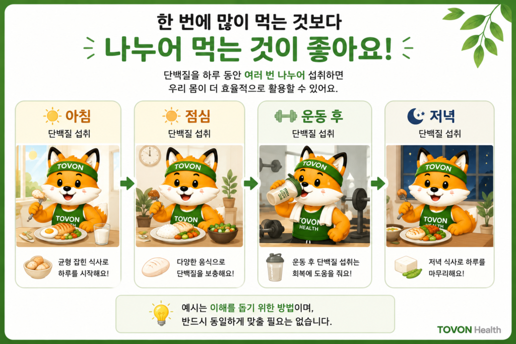 단백질은 왜 근육에 필요할까? 초보자를 위한 단백질 이야기 하루 단백질 섭취량을 여러 끼니에 나누어 먹는 예시