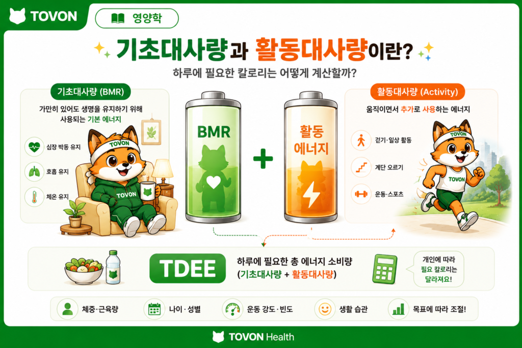 기초대사량과 활동대사량이란? 하루에 필요한 칼로리 계산하기 기초대사량과 활동대사량의 차이를 배터리로 표현한 토번이