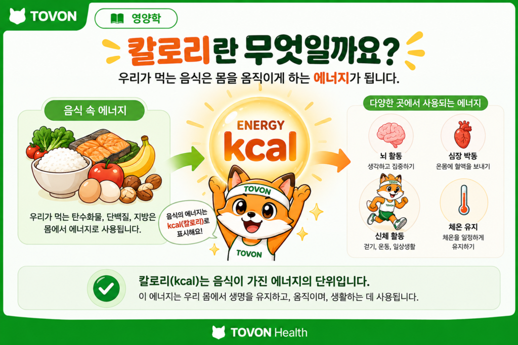 칼로리란 무엇일까? 먹는 칼로리와 소비하는 칼로리 이해하기 칼로리를 에너지의 양을 기록하는 가계부 단위로 표현한 이미지