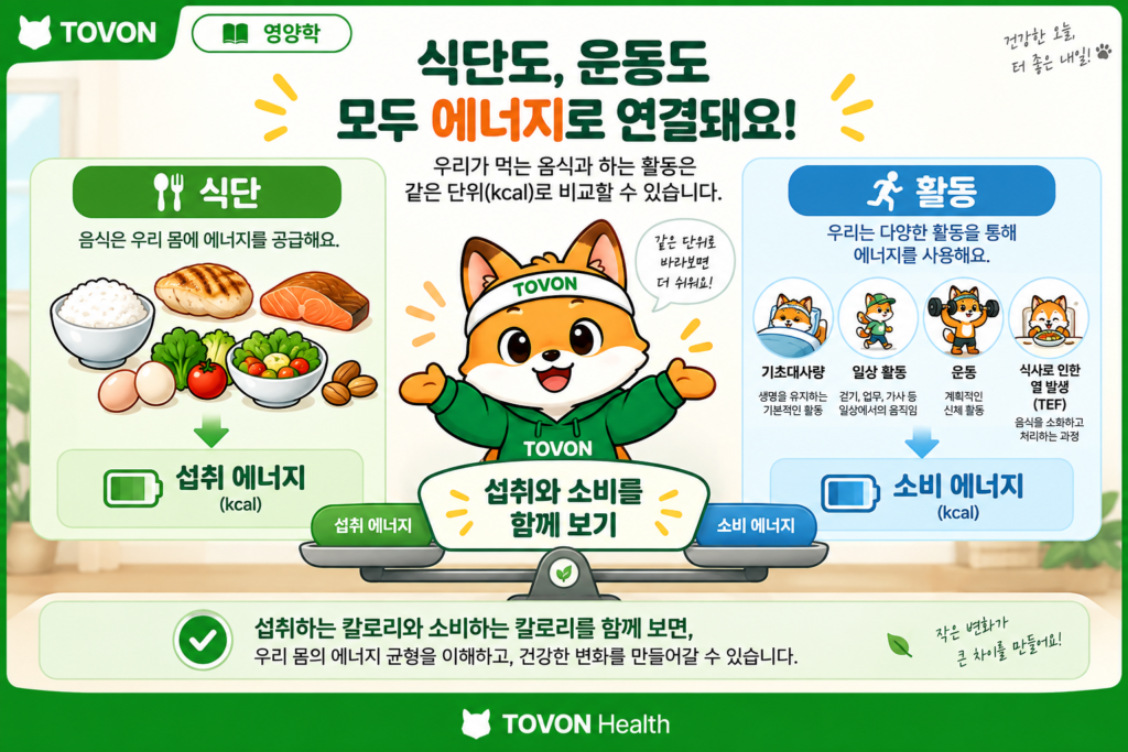 칼로리란 무엇일까? 먹는 칼로리와 소비하는 칼로리 이해하기 식단과 운동을 함께 고려하는 칼로리 관리