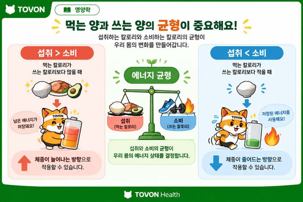 칼로리란 무엇일까? 먹는 칼로리와 소비하는 칼로리 이해하기 칼로리 섭취량과 소비량의 균형에 따른 에너지 상태