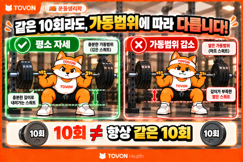 운동 중량 증량 전 자세와 가동범위를 유지해야 하는 이유를 스쿼트 예시로 보여주는 비교 이미지