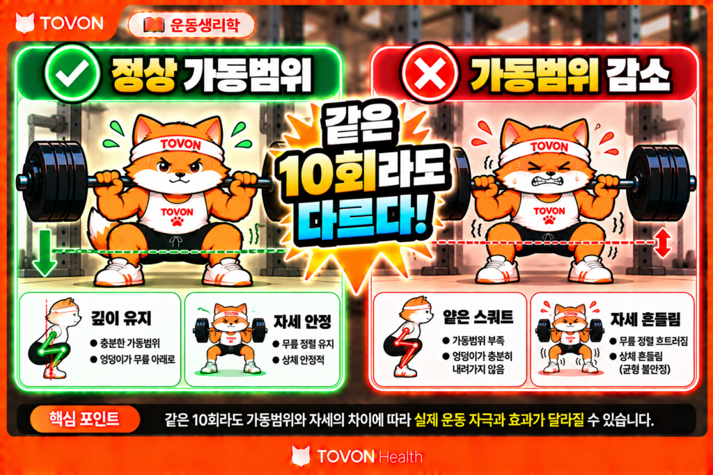 운동 중량은 언제 올려야 할까? RPE와 RIR로 조절하는 방법 운동 중량 증가 전 올바른 자세와 가동범위를 유지했는지 비교하는 스쿼트 인포그래픽