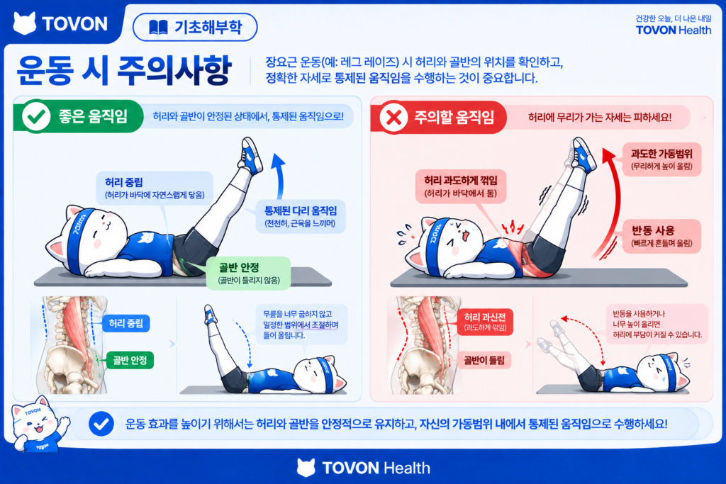 장요근이란? 고관절을 움직이는 깊은 근육의 구조와 역할 장요근 운동에서 허리와 골반의 올바른 움직임과 주의할 자세
