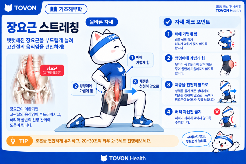 장요근이란? 고관절을 움직이는 깊은 근육의 구조와 역할 반무릎 자세에서 고관절 앞쪽을 스트레칭하는 모습