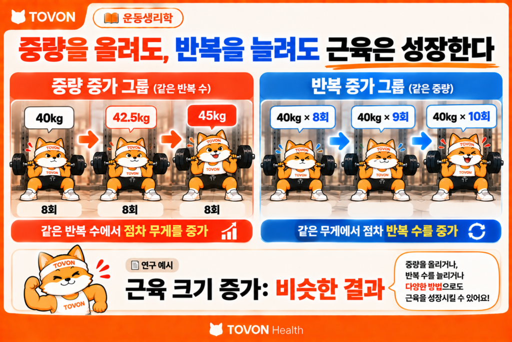 중량을 증가시키는 방법과 반복 횟수를 증가시키는 방법을 비교한 저항운동 연구 예시