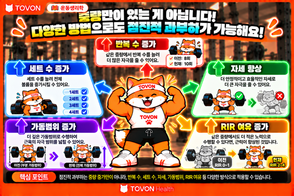 운동 중량은 언제 올려야 할까? RPE와 RIR로 조절하는 방법 중량 증가 외에도 반복 횟수, 세트 수, 자세, 가동범위, RIR 개선으로 운동을 진행할 수 있음을 보여주는 인포그래픽