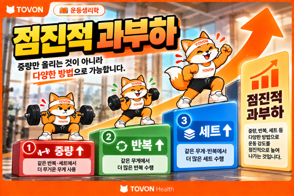 중량 증가와 반복 및 세트 증가를 포함한 점진적 과부하의 여러 방법을 보여주는 운동생리학 인포그래픽
