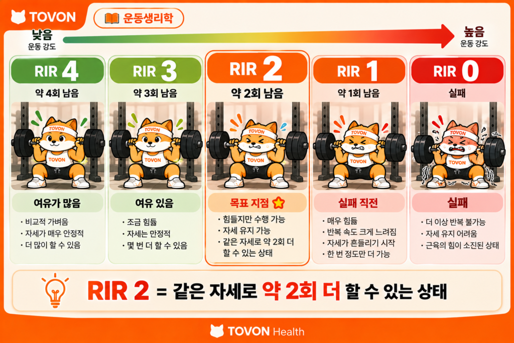RIR 0부터 RIR 4까지 남은 반복 수와 운동 강도를 비교한 표