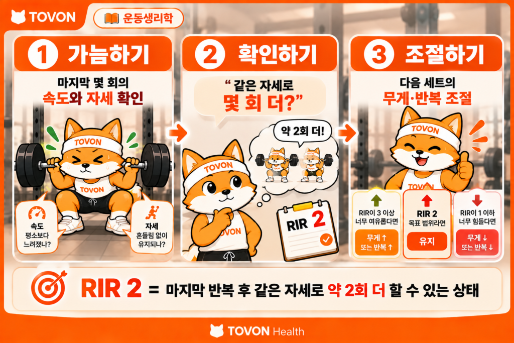 RIR 2를 판단하는 가늠 확인 조절의 3단계를 보여주는 운동생리학 인포그래픽