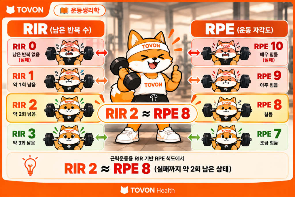 근력운동용 RPE 척도에서 RPE 8과 RIR 2의 관계를 설명하는 인포그래픽