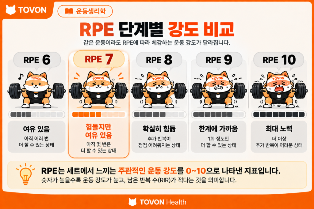 RPE 6부터 RPE 10까지 운동 강도와 반복 여유를 비교한 표