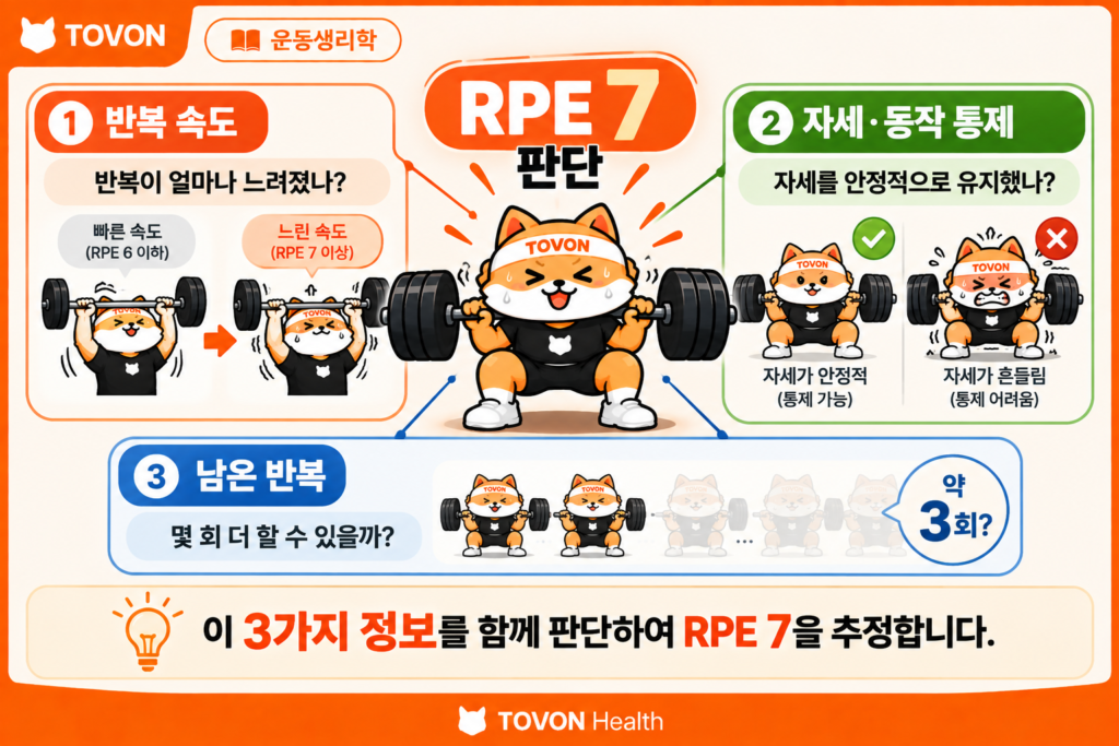 RPE 7을 판단할 때 확인할 반복 속도 자세 동작 통제와 남은 반복 여유