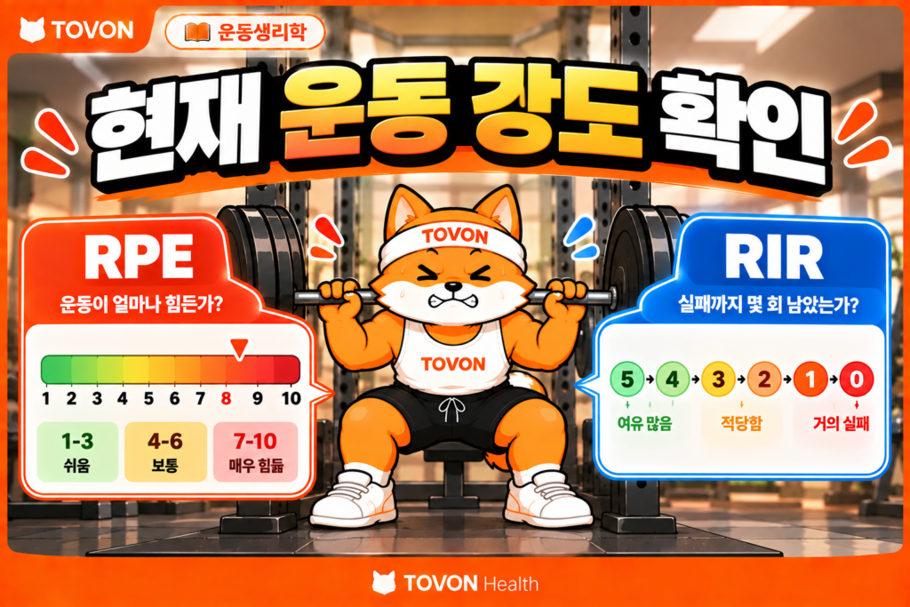 운동 중량 조절에 활용하는 RPE와 RIR의 개념을 설명하는 운동생리학 인포그래픽