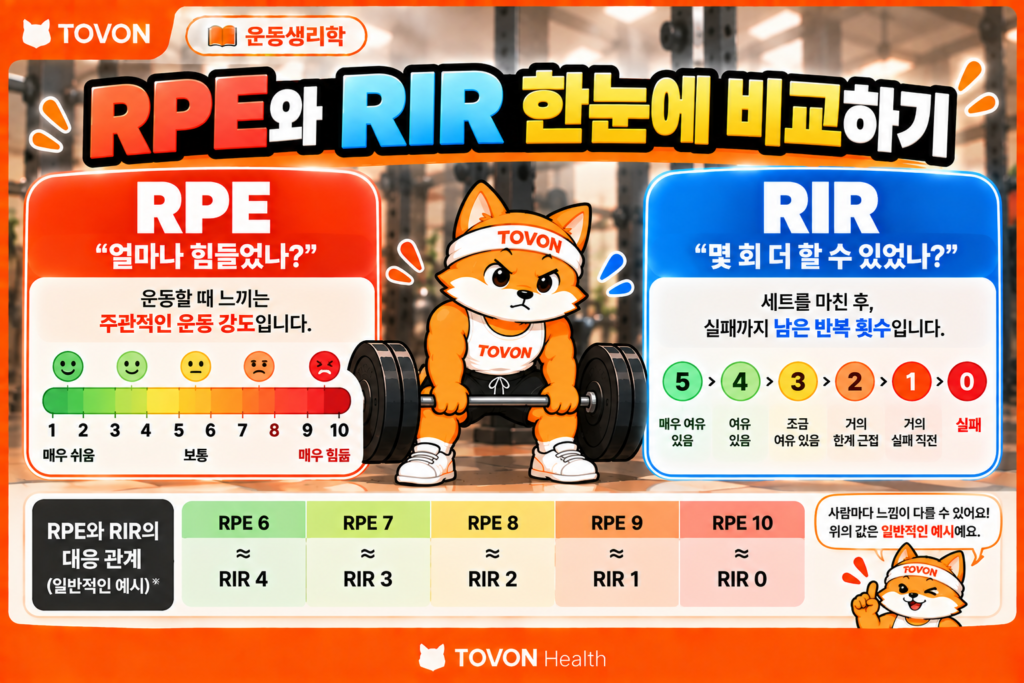 RPE와 RIR의 차이와 운동 세트의 주관적인 강도를 비교하는 인포그래픽