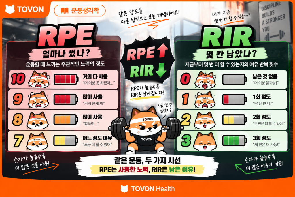 RIR이란? 헬스에서 RIR 뜻과 활용법 RPE와 RIR을 사용한 양과 남은 반복 횟수의 관계를 비교한 이미지