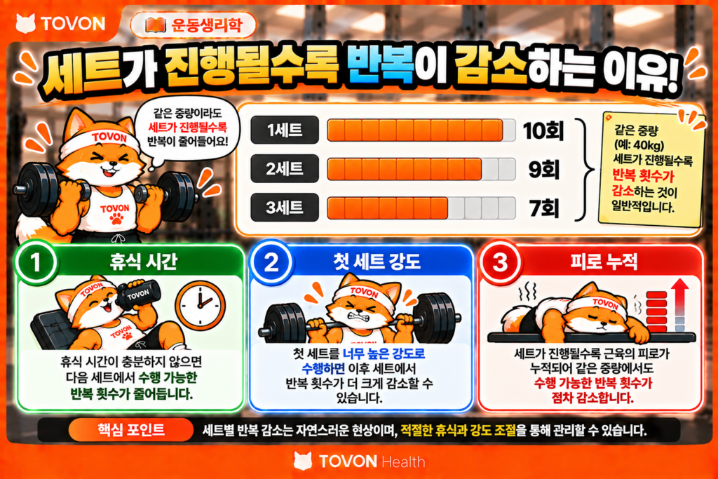 같은 중량으로 여러 세트를 수행할 때 피로로 인해 세트별 반복 횟수가 감소하는 과정을 보여주는 인포그래픽