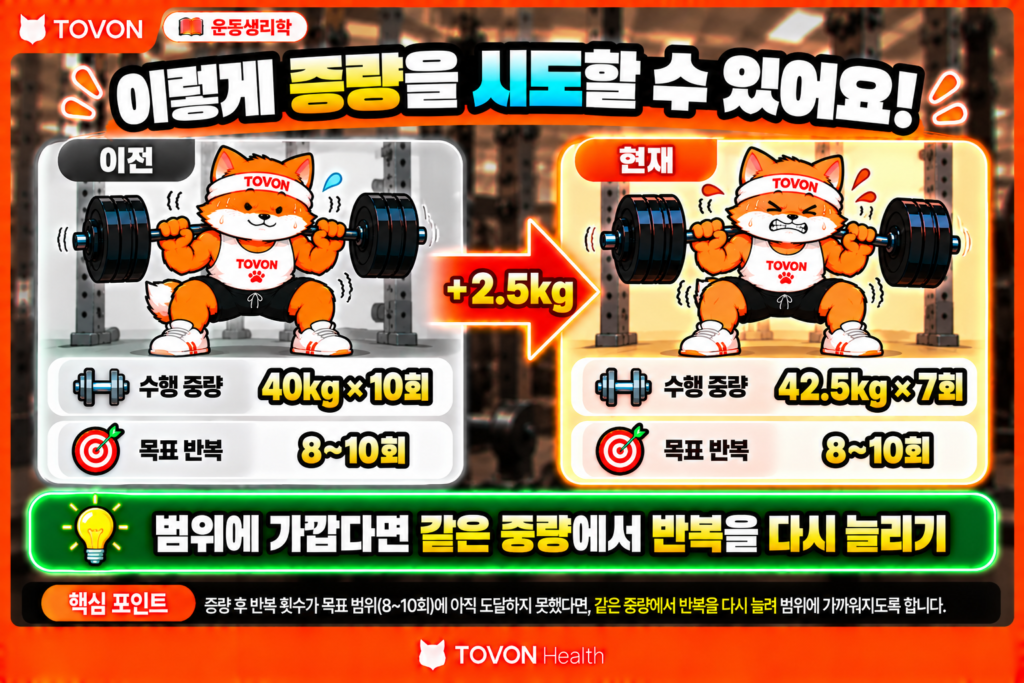 운동 중량은 언제 올려야 할까? RPE와 RIR로 조절하는 방법 운동 중량을 40kg에서 42.5kg으로 올린 뒤 반복 횟수가 10회에서 7회로 감소한 상황
